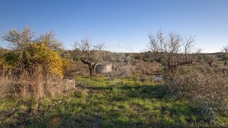 Land for sale in Torres Novas, Portugal — €25,000