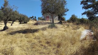 Land for sale in Ponte de Sor, Portugal — €39,000