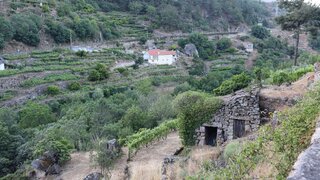 Terreno em Santa Marta de Penaguião