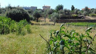 Terreno em Guarda