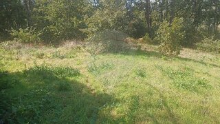 Terreno em Vila Real · 2450 m² · 56 000 €