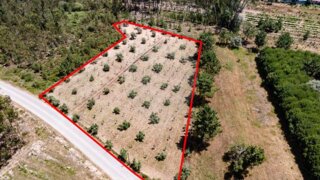 Land for sale in Cantanhede, Portugal — €14,500