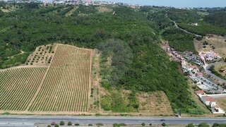 Land for sale in Bombarral, Portugal — €15,000