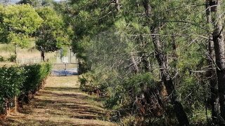 Land for sale in Tomar, Portugal — €30,000