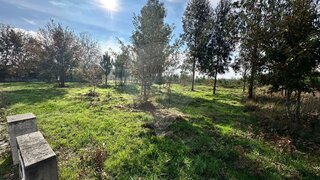 Land for sale in Seia, Portugal — €55,000