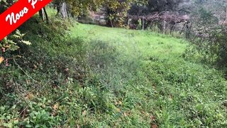 Land for sale in Arcos de Valdevez, Portugal — €10,000