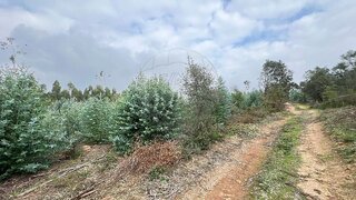 Terreno para venda em Tomar, Portugal — 15 000 €