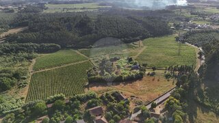 Land for sale in Anadia, Portugal — €450,000