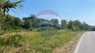 Land for sale in Alcobaça, Portugal — €14,000
