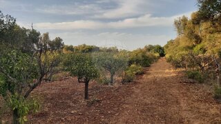Land for sale in Albufeira, Portugal — €33,000