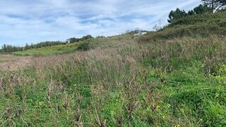 Land for sale in Monchique, Portugal — €88,000
