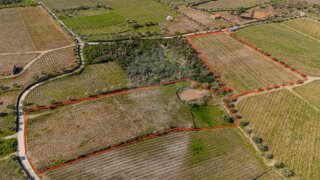 Land for sale in Tabuaço, Portugal — €27,000