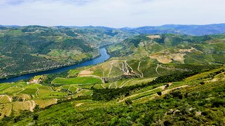 Land for sale in São João da Pesqueira, Portugal — €550,000