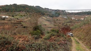 Terreno em Santa Marta de Penaguião