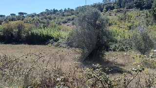 Terreno para venda em Pombal, Portugal — 8500 €