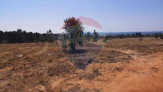 Land for sale in Vila Nova da Barquinha, Portugal — €484,000