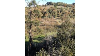 Land for sale in Torres Novas, Portugal — €25,000