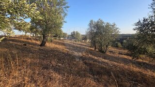 Terreno para venda em Abrantes, Portugal — 120 000 €