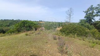 Land for sale in Torres Novas, Portugal — €40,000