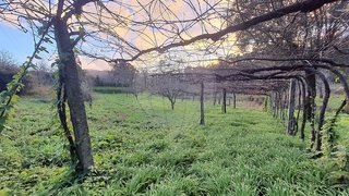 Land for sale in Ponte de Lima, Portugal — €12,000