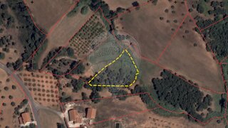 Terreno em Santarém · 1890 m² · 9900 €
