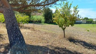 Terreno em Pombal