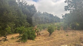 Land for sale in Penela, Portugal — €65,000