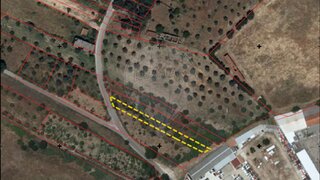 Terreno em Abrantes