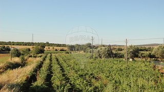 Land for sale in Borba, Portugal — €27,000
