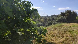 Land for sale in Tomar, Portugal — €37,500
