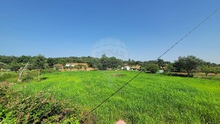 Terreno em Penamacor