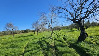 Terreno de 5640 m² em Faro
