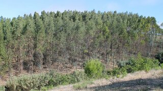 Land for sale in Azambuja, Portugal — €150,000