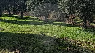 Land for sale in Grândola, Portugal — €120,000
