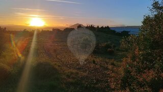 Land for sale in Torres Novas, Portugal — €257,600