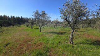 Land for sale in Seia, Portugal — €10,000