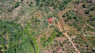 Terreno em Murça
