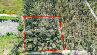 Land for sale in Cantanhede, Portugal — €15,000