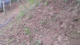 Land for sale in Amarante, Portugal — €6,500