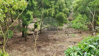 Land for sale in Ribeira Grande, Portugal — €58,000