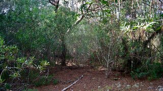 Land for sale in Sintra, Portugal — €34,000