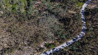 Terreno em Tondela