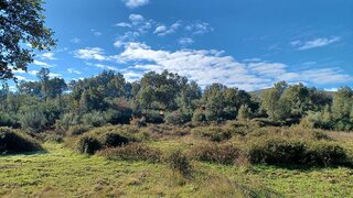 Land for sale in Fundão, Portugal — €12,500