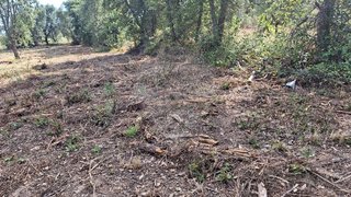 Land for sale in Castelo Branco, Portugal — €4,000