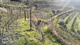 Land for sale in Santa Marta de Penaguião, Portugal — €25,000