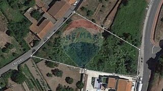 Land for sale in Anadia, Portugal — €100,000