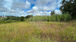 Land for sale in Alcobaça, Portugal — €29,950