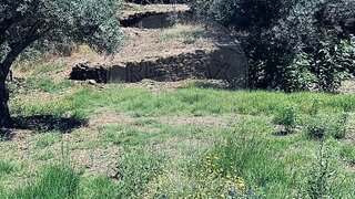 Land for sale in Castelo Branco, Portugal — €16,190