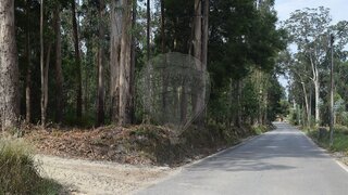 Terreno · 6200 m² · 80 000 €