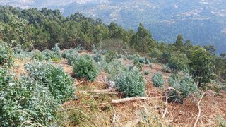 Land for sale in Cinfães, Portugal — €30,000